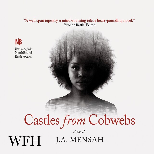 Book cover for Castles from Cobwebs