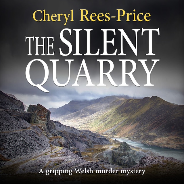 Book cover for The Silent Quarry