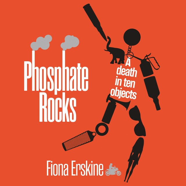 Book cover for Phosphate Rocks