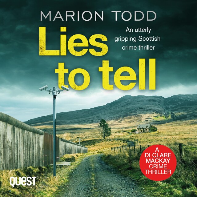 Book cover for Lies to Tell