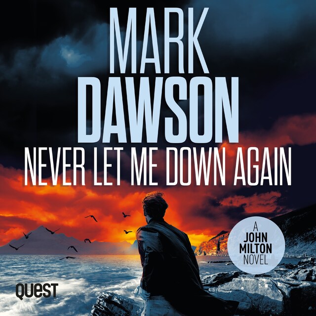 Book cover for Never Let Me Down Again