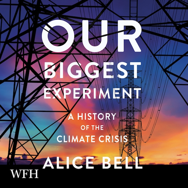 Book cover for Our Biggest Experiment