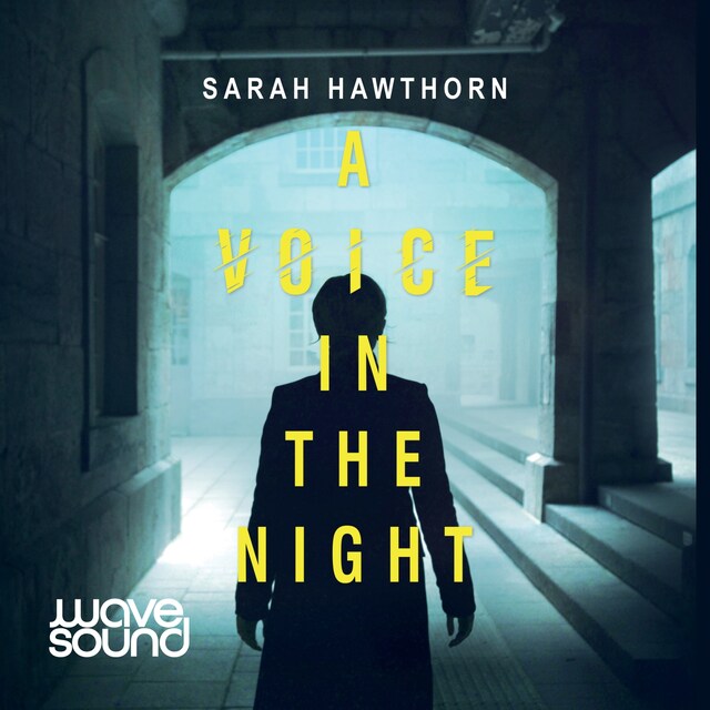 Book cover for A Voice in the Night