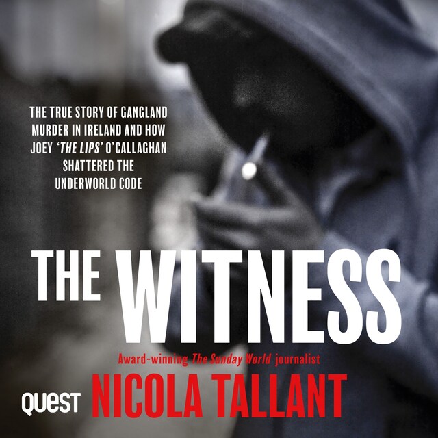 Book cover for The Witness