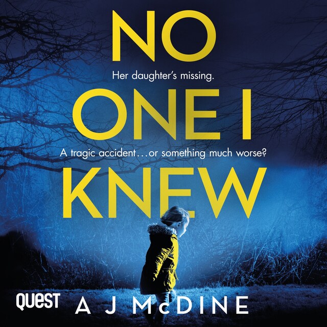 Book cover for No One I Knew