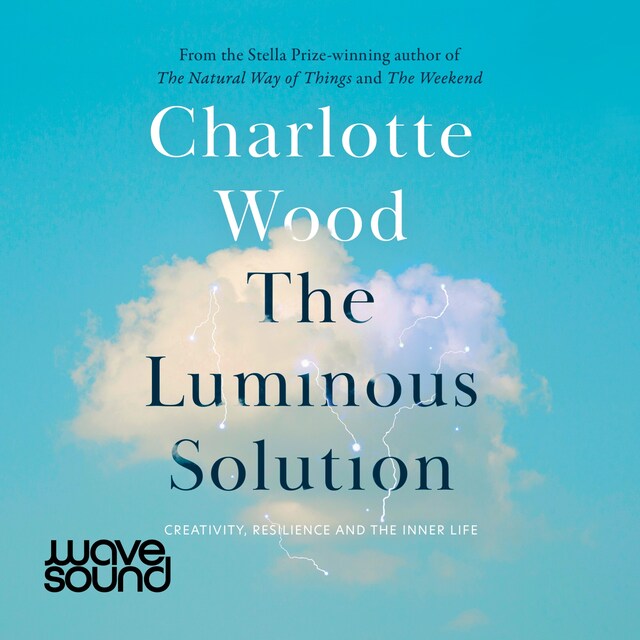 Book cover for The Luminous Solution