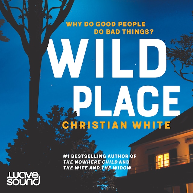 Book cover for Wild Place