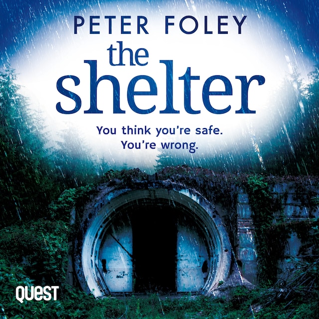 Book cover for The Shelter