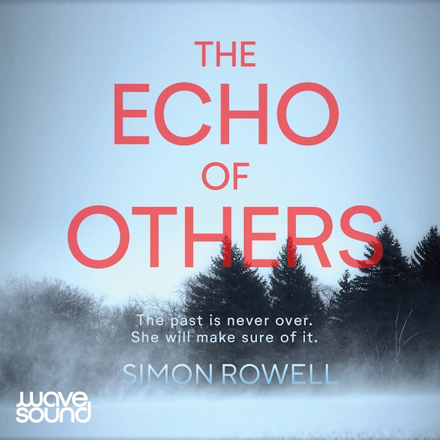 Book cover for The Echo of Others