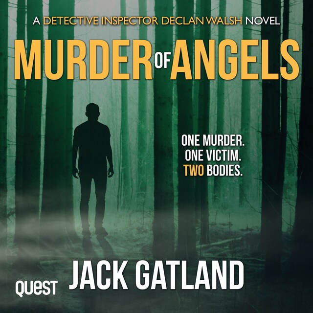 Book cover for Murder of Angels