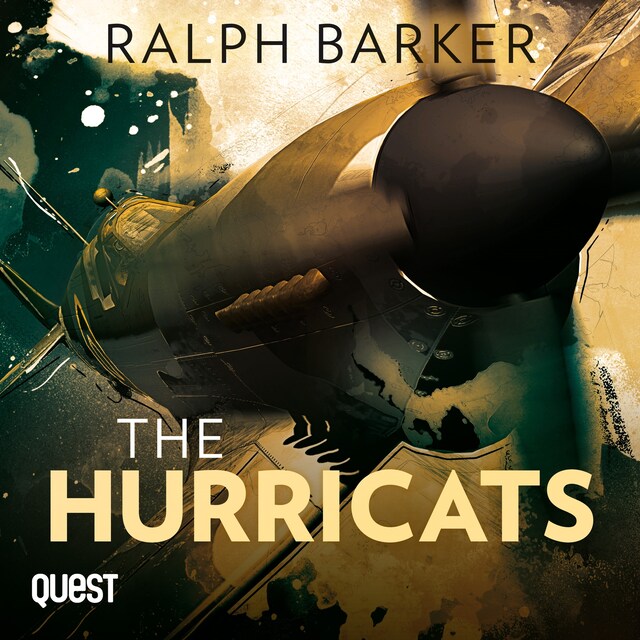 Book cover for The Hurricats