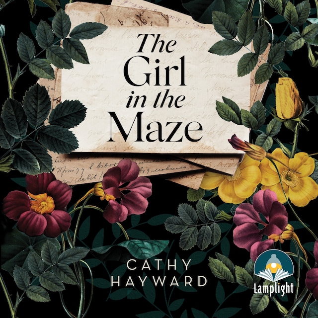 Book cover for The Girl in the Maze