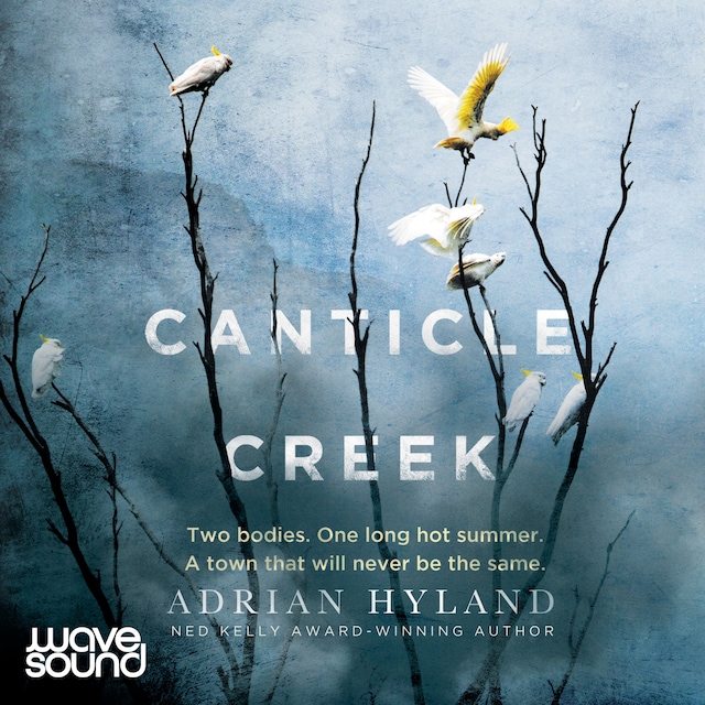 Book cover for Canticle Creek