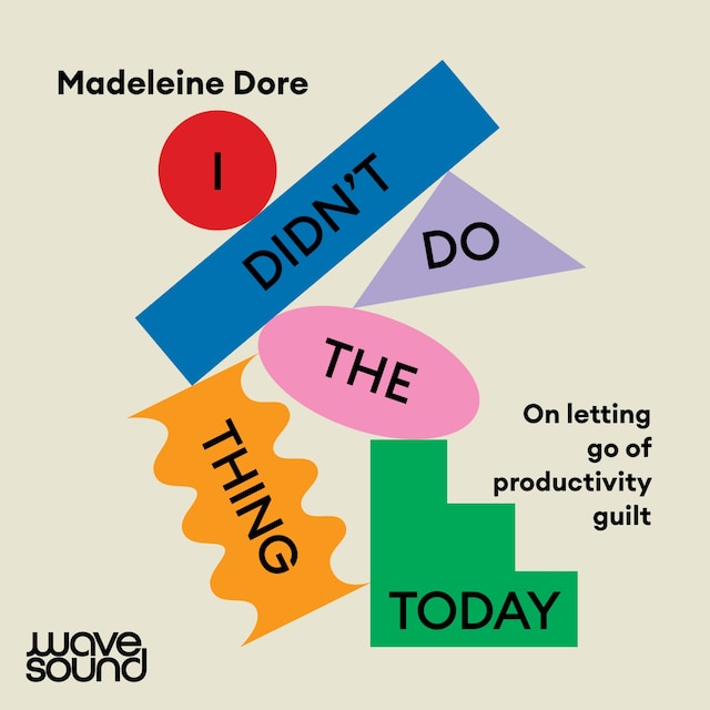 Book cover for I Didn't Do The Thing Today