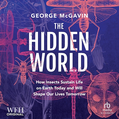 The Hidden World