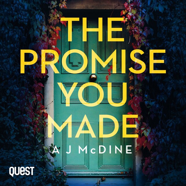 Book cover for The Promise You Made