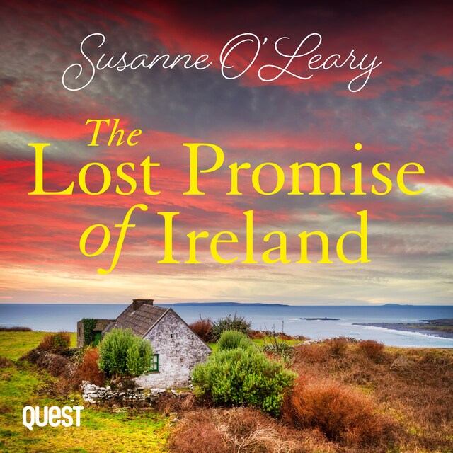 Book cover for The Lost Promise of Ireland