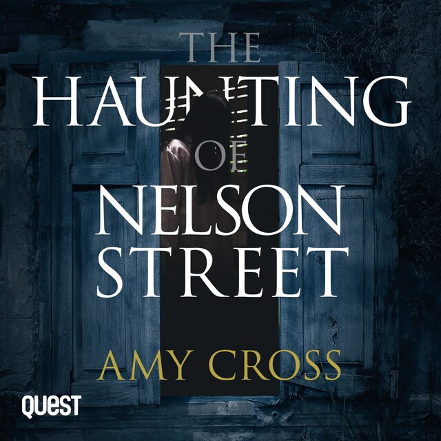 Book cover for The Haunting of Nelson Street