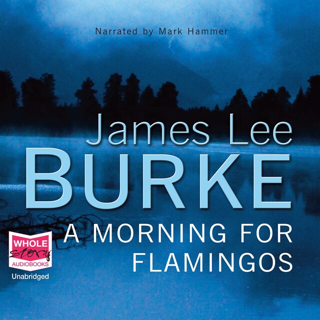 Book cover for A Morning for Flamingos