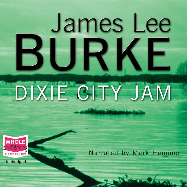 Book cover for Dixie City Jam