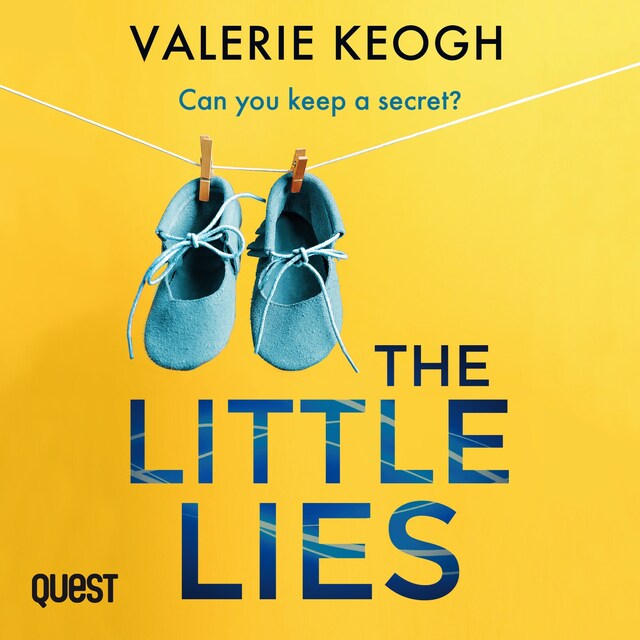 Book cover for The Little Lies