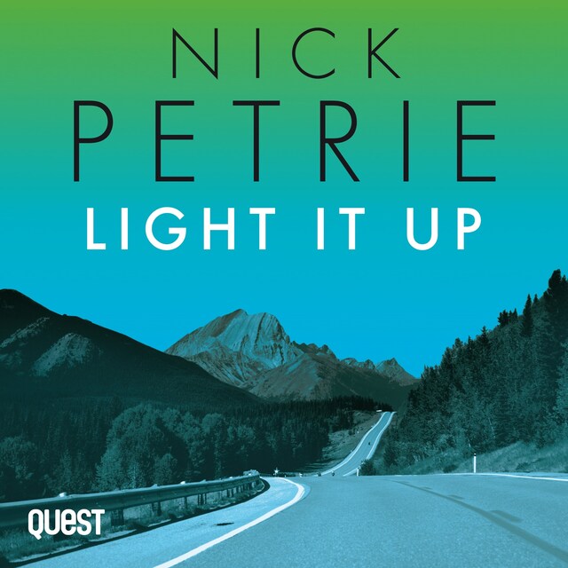 Book cover for Light It Up