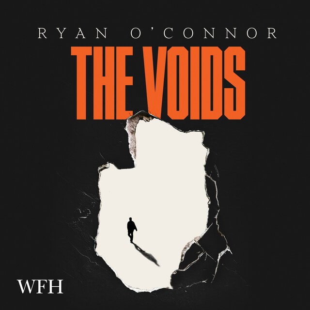 Book cover for The Voids