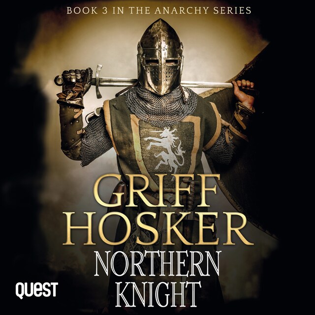 Book cover for Northern Knight