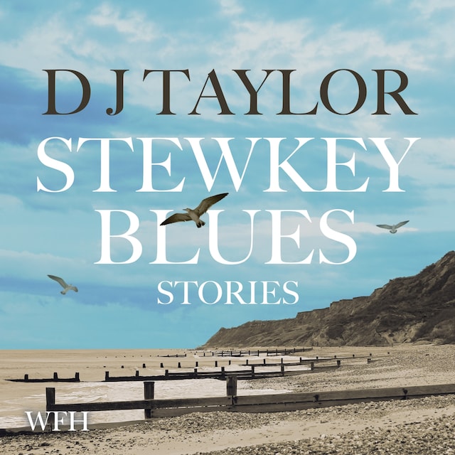 Book cover for Stewkey Blues