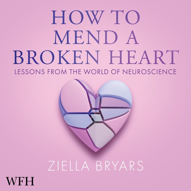 Book cover for How to Mend a Broken Heart