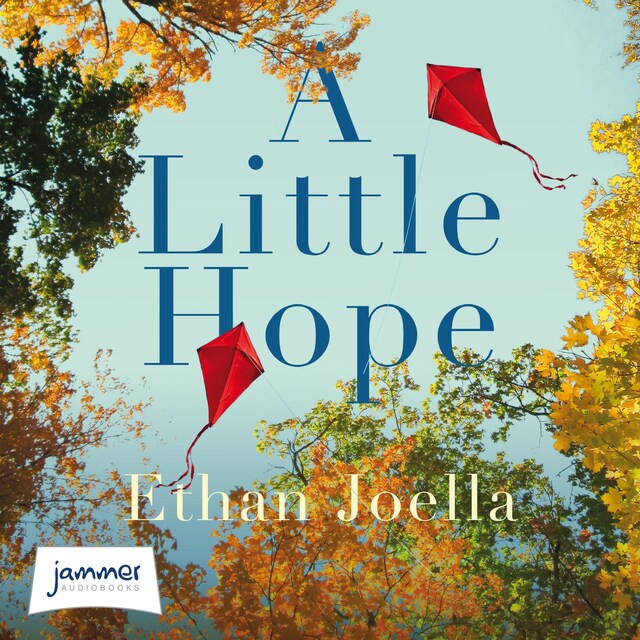 Book cover for A Little Hope