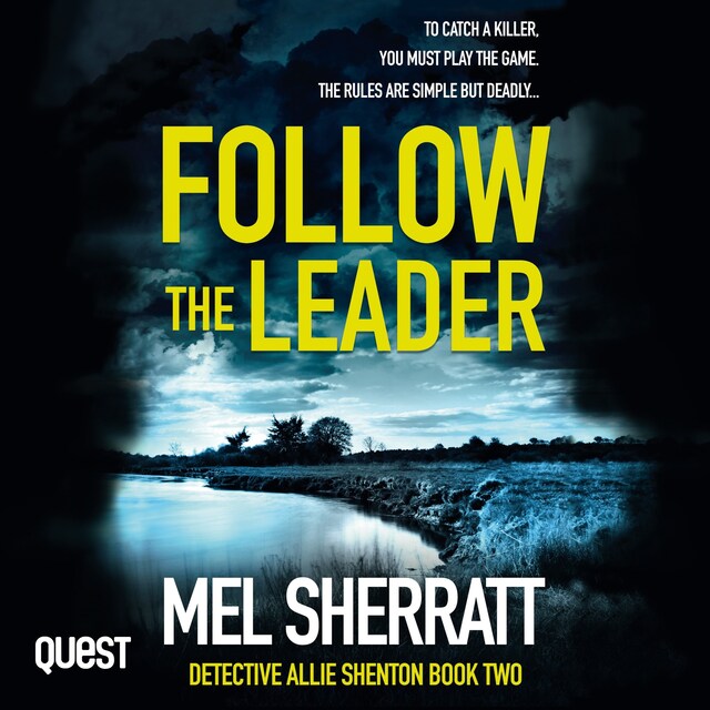 Book cover for Follow the Leader