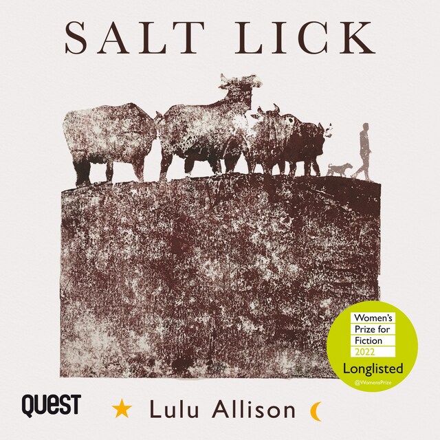 Book cover for Salt Lick