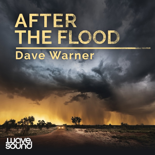 Book cover for After the Flood