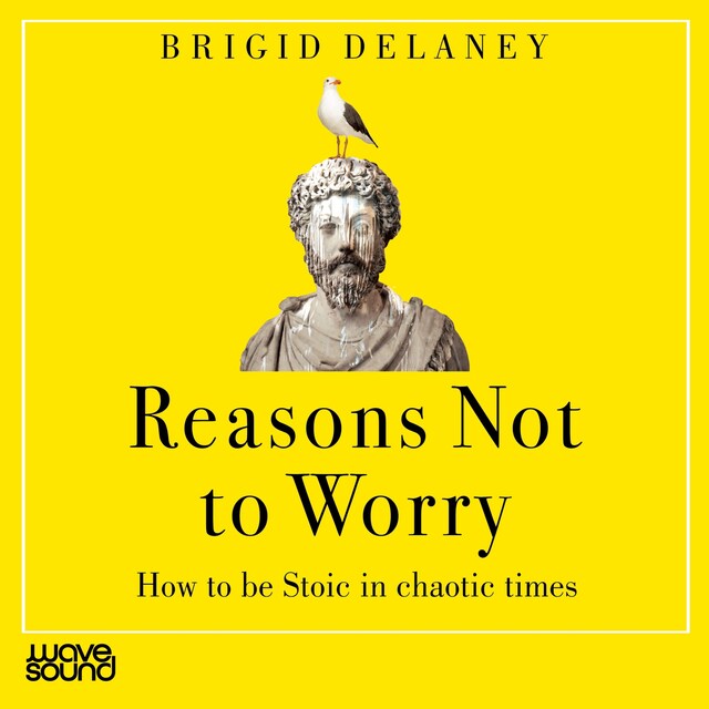 Book cover for Reasons not to Worry