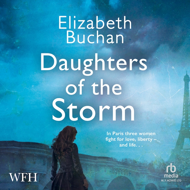 Book cover for Daughters of the Storm