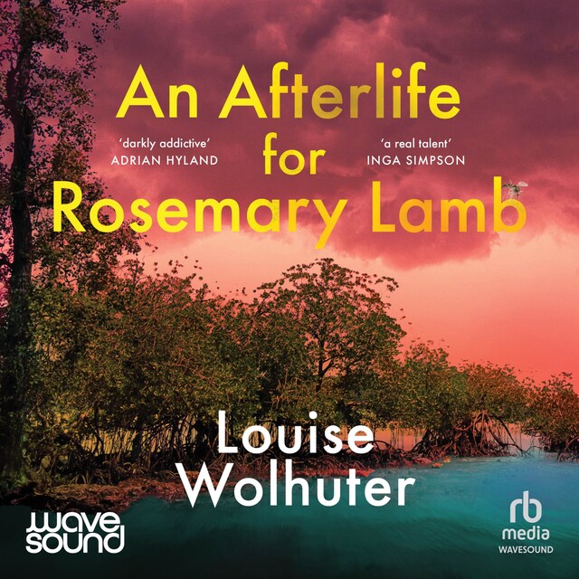 Book cover for An Afterlife for Rosemary Lamb