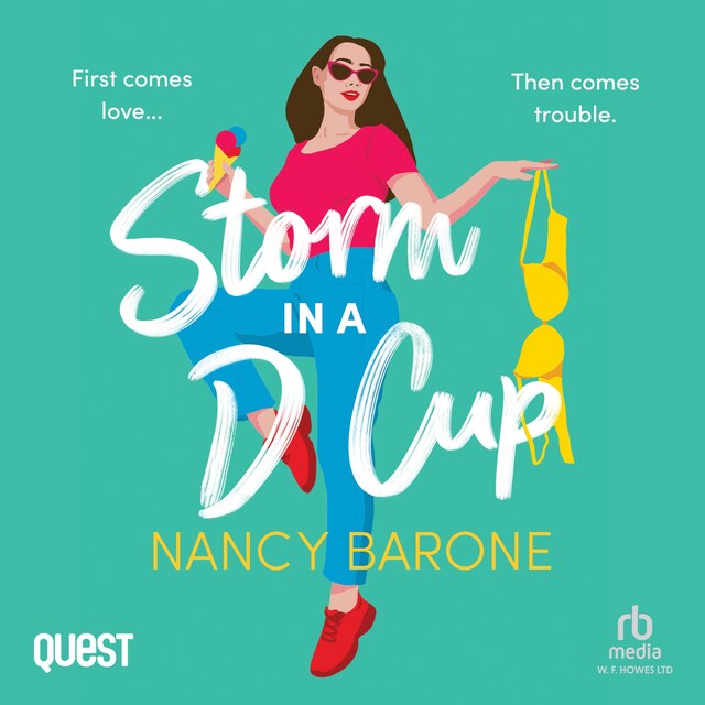 Book cover for Storm in a D Cup