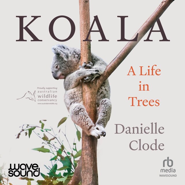 Book cover for Koala