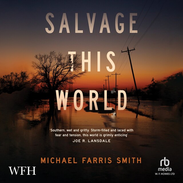 Buchcover für Salvage This World