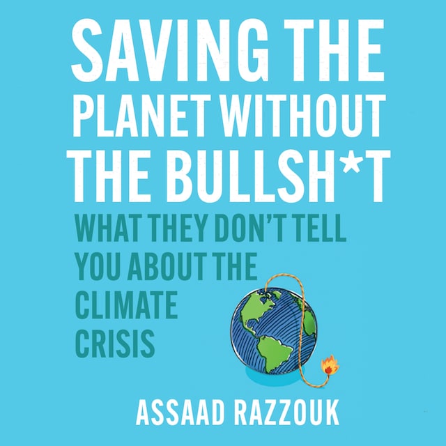 Book cover for Saving the Planet Without the Bullshit