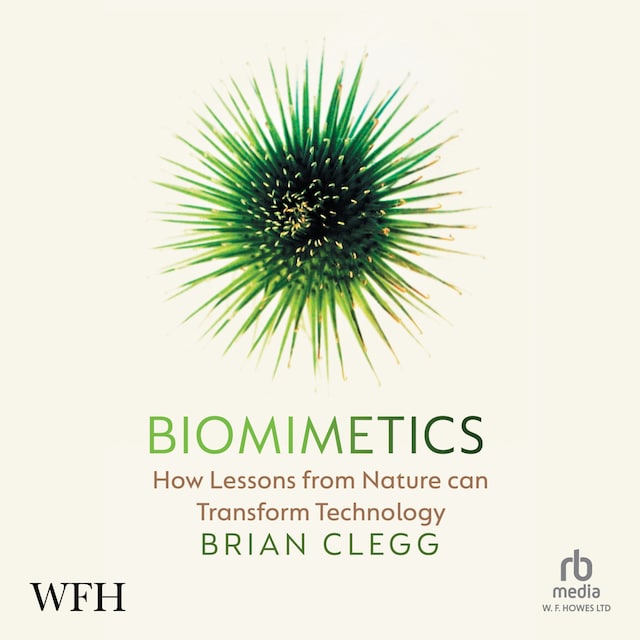 Book cover for Biomimetics