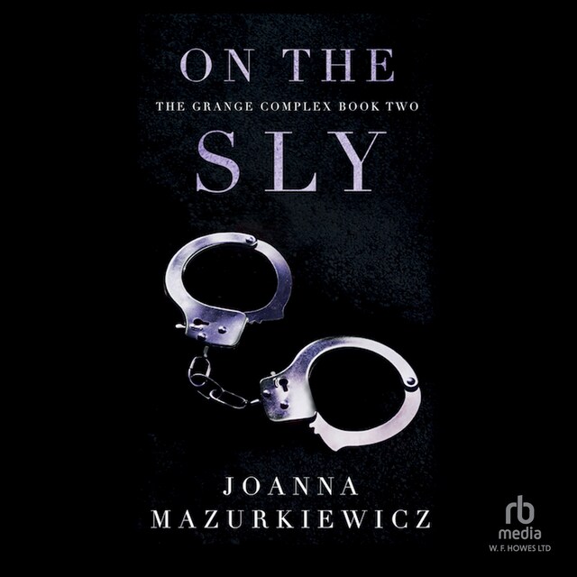 Book cover for On the Sly