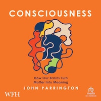 Consciousness