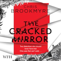 The Cracked Mirror