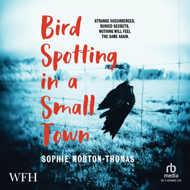 Book cover for Bird Spotting in a Small Town