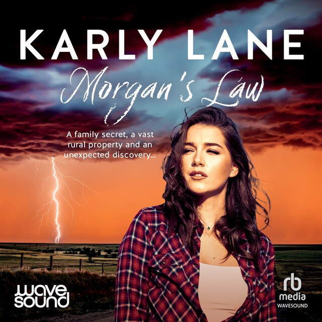 Book cover for Morgan's Law