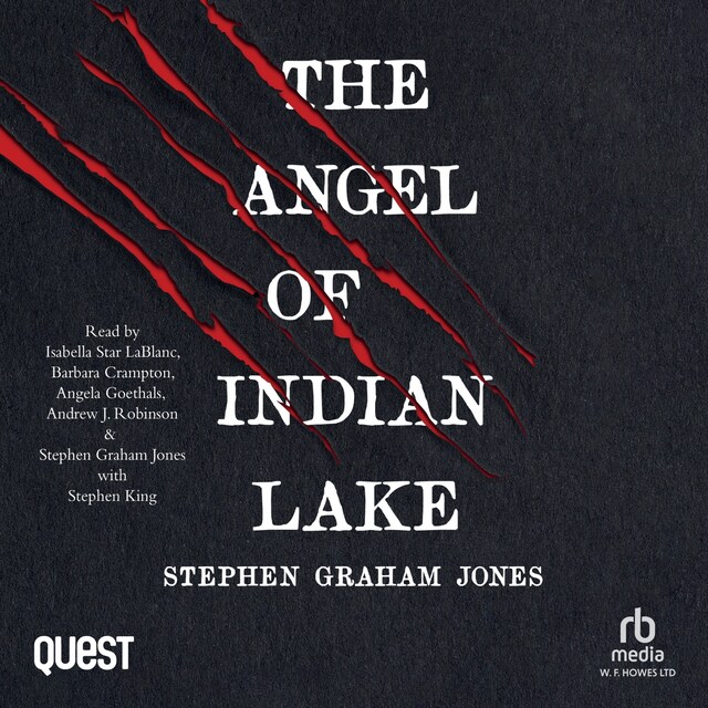 Book cover for The Angel of Indian Lake