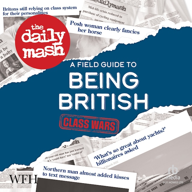 Book cover for The Daily Mash