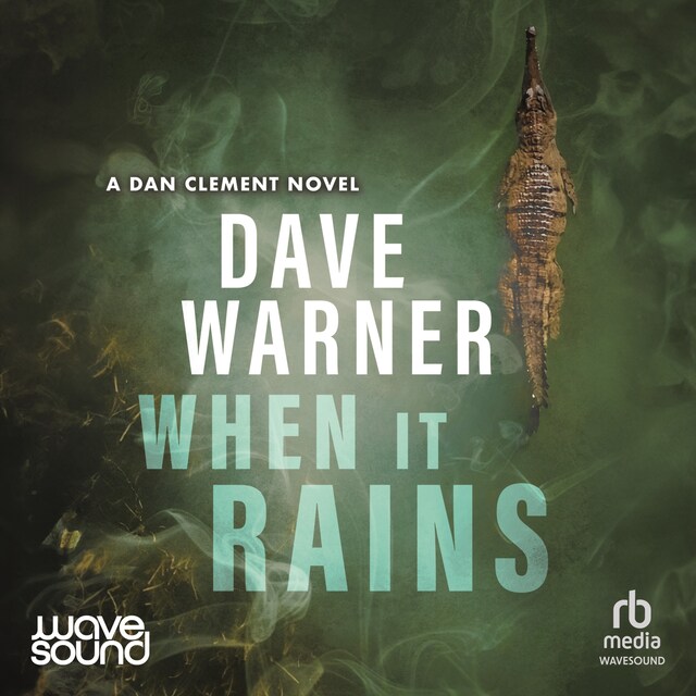 Book cover for When It Rains